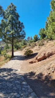 2023-04-GranCan-Roque_Nublo-002.jpg